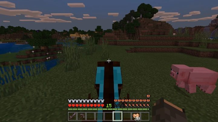 Aby jeździć na świni, potrzebujesz - Minecraft: Wierzchowce - jak wsiąść? Transport, porady - Minecraft - poradnik do gry