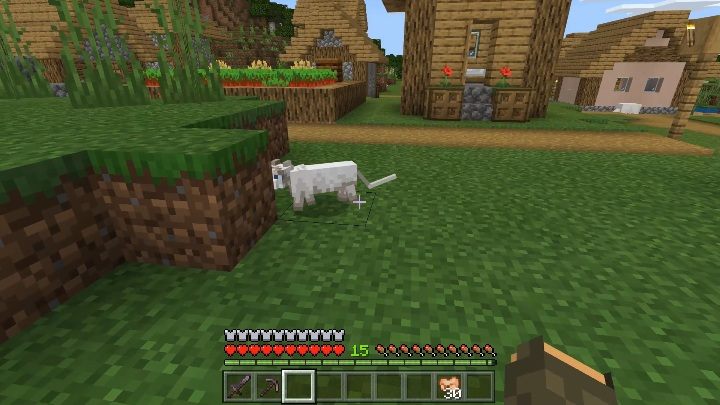 Do oswojenia kota potrzebujesz surowego łososia bądź surowego dorsza - Minecraft: Moby oswajalne - jak oswoić? - Minecraft - poradnik do gry