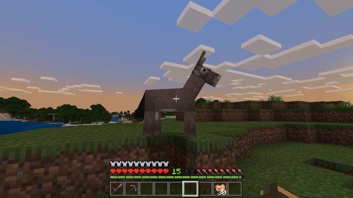 Aby oswoić osła, musisz próbować go pogłaskać bądź nakarmić pszenicą - Minecraft: Moby oswajalne - jak oswoić? - Minecraft - poradnik do gry