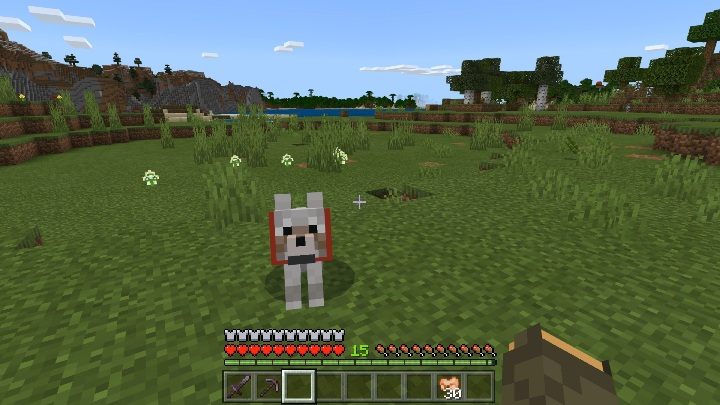 Aby oswoić wilka musisz dać mu kość - Minecraft: Moby oswajalne - jak oswoić? - Minecraft - poradnik do gry