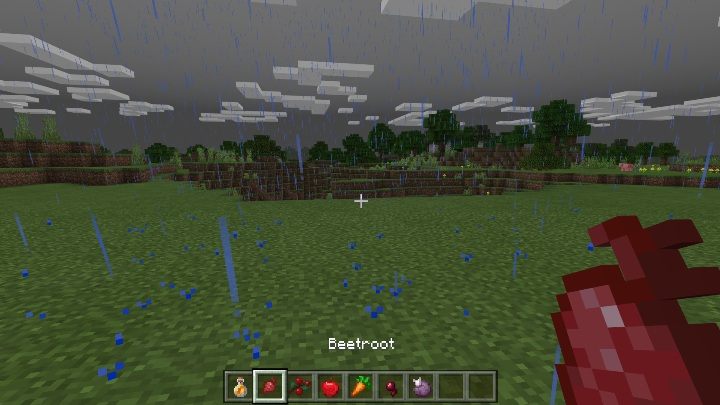 Buraki przywracają 1 punkt głodu - Minecraft: Żywność - schematy, crafting - Minecraft - poradnik do gry