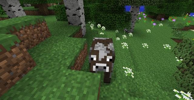 Krowy najczęściej pojawiają się na łąkach - Minecraft: Zwierzęta - moby - Minecraft - poradnik do gry