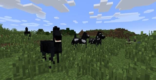Konie mają różne typy oraz warianty, które odpowiadają za ich maść i wygląd - Minecraft: Zwierzęta - moby - Minecraft - poradnik do gry