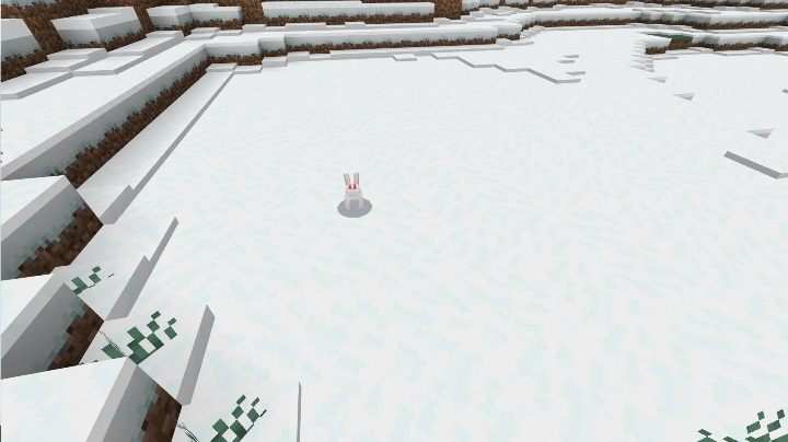 Króliki są atakowane przez wilki i lisy - Minecraft: Zwierzęta - moby - Minecraft - poradnik do gry