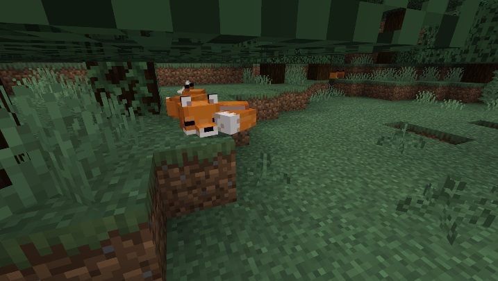 Żyją na tajdzie i jej śnieżnej odmianie - Minecraft: Zwierzęta - moby - Minecraft - poradnik do gry