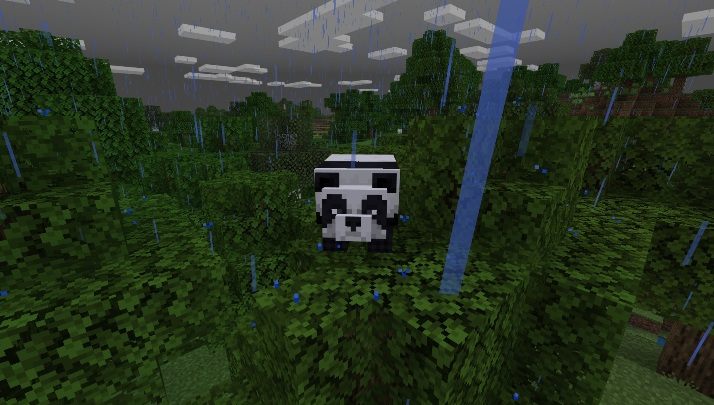 Pandy spotkasz w dżungli - Minecraft: Zwierzęta - moby - Minecraft - poradnik do gry