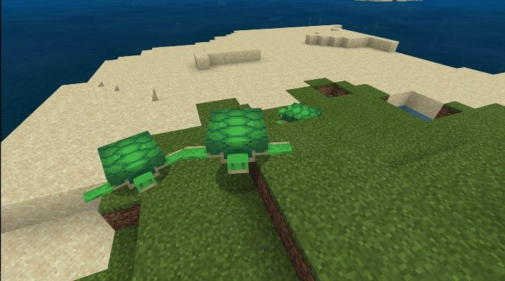 Żółwie pojawiają się na plażach - Minecraft: Zwierzęta - moby - Minecraft - poradnik do gry