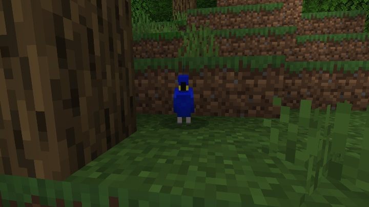 Papugi żyją w dżungli - Minecraft: Zwierzęta - moby - Minecraft - poradnik do gry