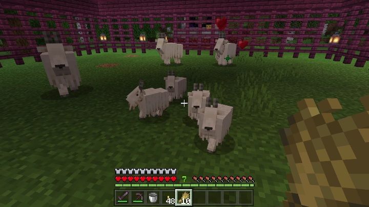 Opis osiągnięcia: Wsiąść z kozą do łódki - Minecraft Caves & Cliffs: Osiągnięcia - lista - Minecraft - poradnik do gry