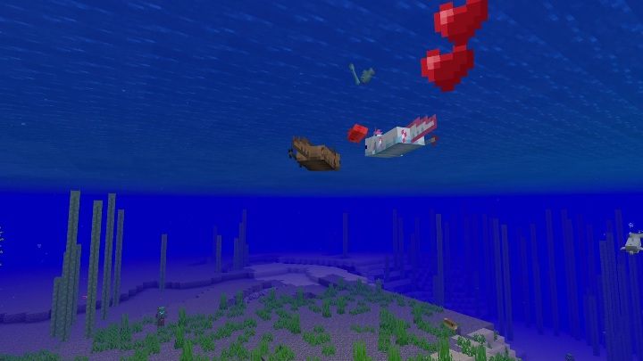 Opis osiągnięcia: Pomóc aksolotlowi w walce z wrogim mobem - Minecraft Caves & Cliffs: Osiągnięcia - lista - Minecraft - poradnik do gry