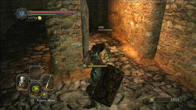 Pokonaj wojownika i wejdź po drabinie - Earthen Peak - Dark Souls II - poradnik do gry