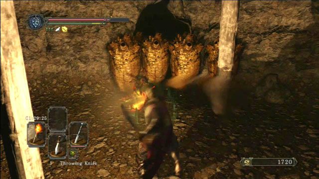 Zniszcz serca - The Gutter - Dark Souls II - poradnik do gry