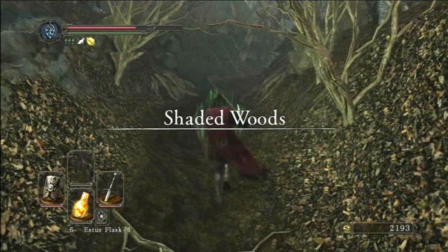 Shaded woods - Shaded woods - Dark Souls II - poradnik do gry