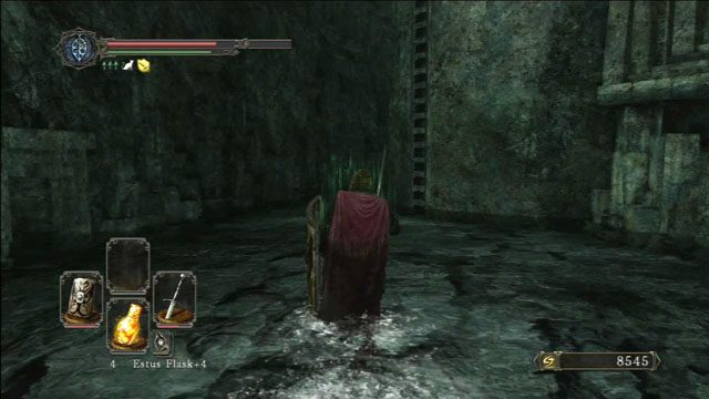 Wejdź po drabinie - Doors Of Pharros - Dark Souls II - poradnik do gry