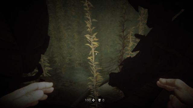 Gdy będziesz w wodzie płyń wzdłuż kabli - Sztab Trupiej Główki | Misje Główne w Wolfenstein The New Order - Wolfenstein: The New Order - poradnik do gry