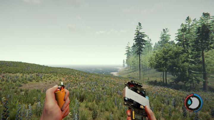 Bomba wygląda niepozornie, ale to śmiercionośna broń. - The Forest: Przedmioty użytkowe - The Forest - poradnik do gry