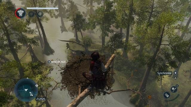 Synchronizacja w lesie - Znajdźki pozostałe | Znajdźki w Assassins Creed Liberation - Assassins Creed: Liberation HD - poradnik do gry