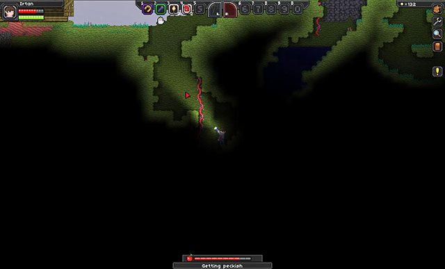 Dzikie pnącza - Dzień 2 w Starbound | Przewodnik Przetrwania - Starbound - poradnik do gry