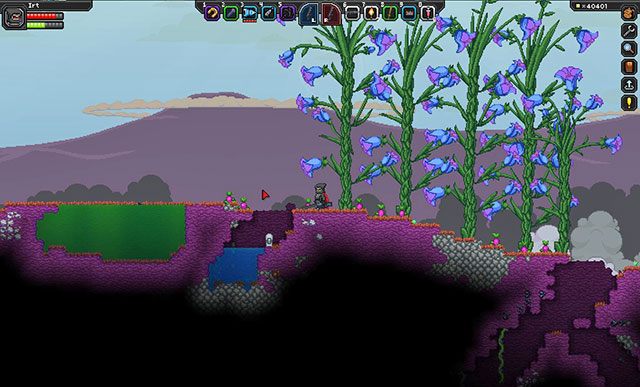 Kwiaty po prawej i trujące bagna po lewej - Biomy | Przewodnik Planetarny | Starbound - Starbound - poradnik do gry