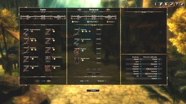 Jak widać wybór towarów jest niewielki. - Miasto Neetha i pobliski cmentarz | Rozdział 1 - Ucieczka - zadania główne - Blackguards - poradnik do gry