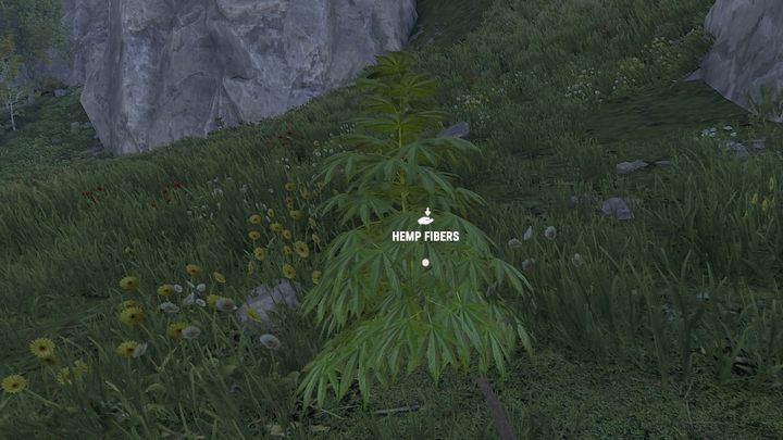 Aby wytworzyć ubranie, potrzebujecie tkaninę (Cloth) - Rust: Pierwsze kroki - jak rozpocząć grę? - Rust - przewodnik przetrwania - poradnik do gry