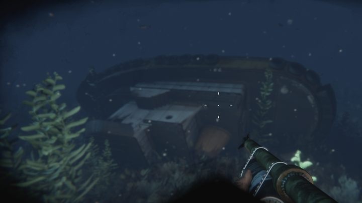 5 - Rust: Trofea / Osiągnięcia - lista wszystkich - Rust - przewodnik przetrwania - poradnik do gry