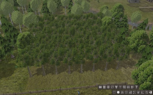 Już za niedługo drzewa zaczną wydawać owoce! - Sadownictwo w Banished | Produkcja żywności - Banished - poradnik do gry