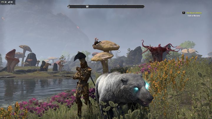 Dodatek do Elder Scrolls Online - Morrowind wprowadza kolejną klasę do gry - ESO Morrowind: Warden - The Elder Scrolls Online - poradnik do gry