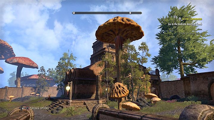 Niektóre postępy w TESO przebiegają znacznie wolniej niż w Skyrimie - ESO i Skyrim - podobieństwa - The Elder Scrolls Online - poradnik do gry