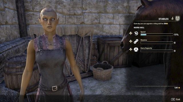 Ulepszanie wierzchowców - ESO: Transport, porady - The Elder Scrolls Online - poradnik do gry