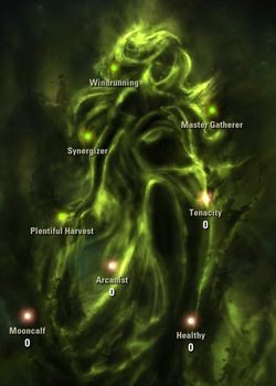 Nazwa umiejętności - ESO: Poziom 50, porady - The Elder Scrolls Online - poradnik do gry