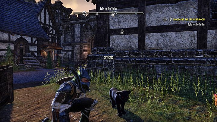 Zawartość Starter Packa przedstawia się następująco - ESO: 500 startowych koron - na co wydać? Porady - The Elder Scrolls Online - poradnik do gry
