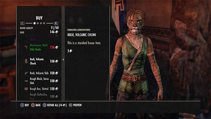 Kupowane domy domyślnie pozbawione są mebli i oznacza to, że musisz je oddzielnie pozyskać - ESO: Własny dom - jak kupić? - The Elder Scrolls Online - poradnik do gry