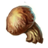 Imp Stool - ESO: Alchemia - rozpuszczalniki, odczynniki - gdzie znaleźć? Efekt, porady - The Elder Scrolls Online - poradnik do gry