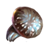 Luminous Rusula - ESO: Alchemia - rozpuszczalniki, odczynniki - gdzie znaleźć? Efekt, porady - The Elder Scrolls Online - poradnik do gry