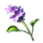 Water Hyacinth - ESO: Alchemia - rozpuszczalniki, odczynniki - gdzie znaleźć? Efekt, porady - The Elder Scrolls Online - poradnik do gry