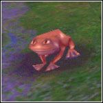 Czasami będziesz spotykał takie żaby - Przedmioty w Harry Potter i Komnata Tajemnic - Harry Potter i Komnata Tajemnic - poradnik do gry