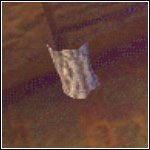 Jeden ze składników eliksiru zdrowia - Przedmioty w Harry Potter i Komnata Tajemnic - Harry Potter i Komnata Tajemnic - poradnik do gry