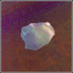 Drugi ze składników, kosztuje 50 fasolek w sprzedaży u uczniów i także można go spotkać w szklanych butelkach - Przedmioty w Harry Potter i Komnata Tajemnic - Harry Potter i Komnata Tajemnic - poradnik do gry