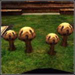 Grzyby nie ruszają się, ale jeśli się do nich zbliżysz, wypuszczają trujący gaz - Przeciwnicy w Harry Potter i Komnata Tajemnic - Harry Potter i Komnata Tajemnic - poradnik do gry