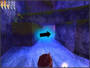 (SEKRET 3/4) Idź po wodzie do końca, we wskazanym miejscu jest ukryta skrzynia z fasolkami - Zakazany Las | Komnata Tajemnic w Harry Potter i Komnata Tajemnic - Harry Potter i Komnata Tajemnic - poradnik do gry