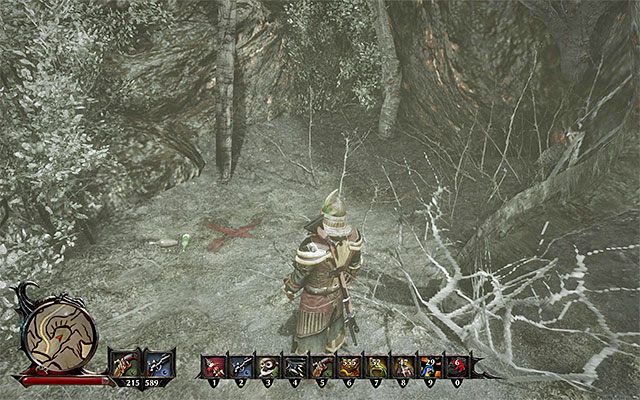 Miejsce odnalezienia skarbu - The Happy Pirates Treasure (Skarb szczęśliwego pirata) | Poboczne zadania - Antigua - Risen 3: Władcy Tytanów - poradnik do gry