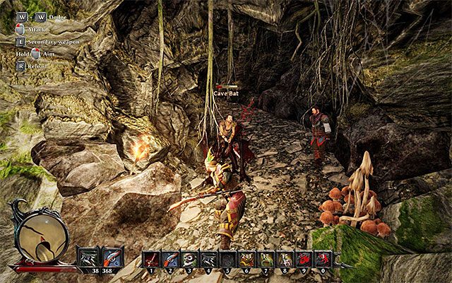 W jaskini przebywają kolejne potwory - Tour of Taranis (Wycieczka po Taranis) | Poboczne zadania - Taranis | Risen 3 - Risen 3: Władcy Tytanów - poradnik do gry