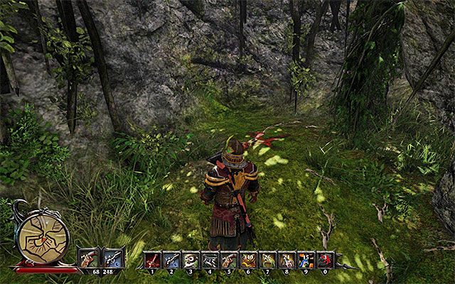 Musisz dotrzeć do południowej części dżungli - The Treasure in the Woods of Taranis (Skarb w lesie Taranis) | Poboczne zadania - Taranis - Risen 3: Władcy Tytanów - poradnik do gry