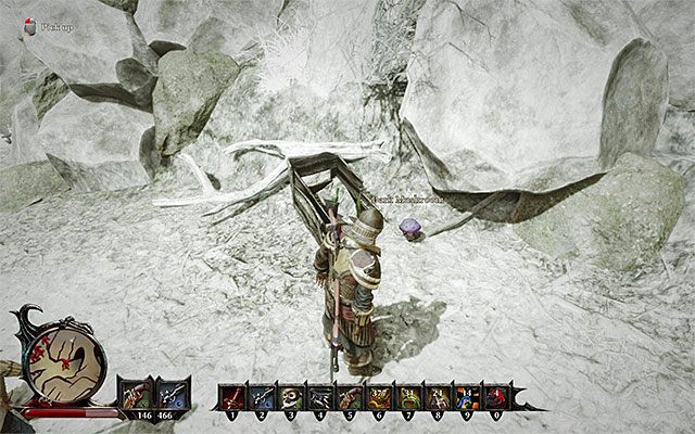 Przykładowy grzyb - The Mushroom Gatherer (Zbieracz grzybów) | Poboczne zadania - Taranis - Risen 3: Władcy Tytanów - poradnik do gry