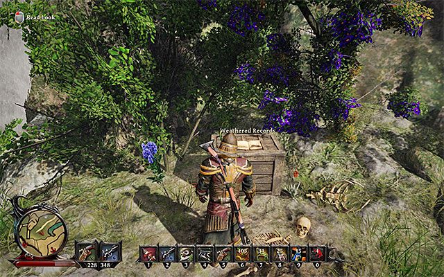 Dziennik jest na niewielkiej skalnej półce - United in the Afterlife (Złączeni w życiu po śmierci) | Poboczne zadania - Wyspa Mgieł (Fog Island) - Risen 3: Władcy Tytanów - poradnik do gry