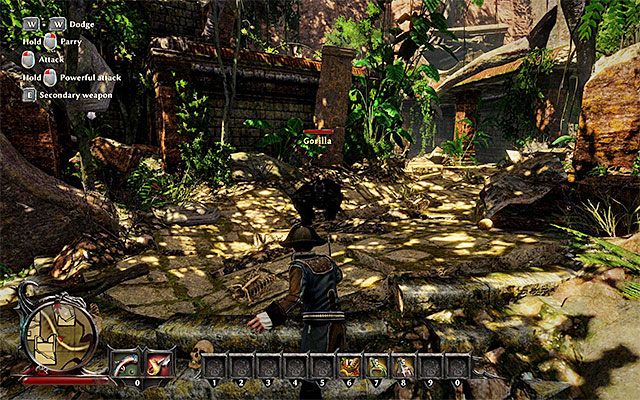 Staraj się nie stracić zbyt dużo energii w trakcie pojedynku z gorylem - Hunting for Treasure (Polowanie na skarb) | Główne zadania - Wybrzeże Krabów (Crab Coast) - Risen 3: Władcy Tytanów - poradnik do gry