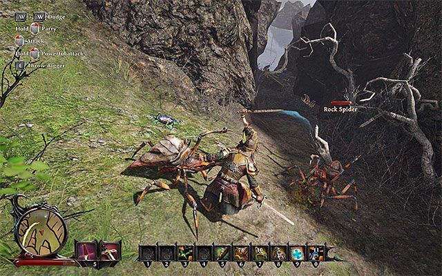 W drodze do Cytadeli drużyna może wpaść między innymi na pająki - Bony Situation (Koścista sytuacja) | Poboczne zadania - Calador | Risen 3 - Risen 3: Władcy Tytanów - poradnik do gry