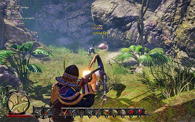 Pokonaj ogniste ptaki broniące dostępu do jaj - Boozes Befuddled Mind (Zamroczony umysł Boozea) | Poboczne zadania - Kila - Risen 3: Władcy Tytanów - poradnik do gry