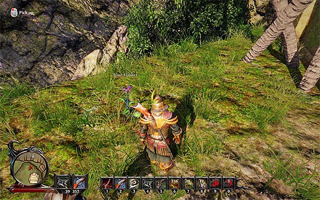 Niebieski kwiat - Forbidden Fruit (Zakazany owoc) | Poboczne zadania - Kila | Risen 3 - Risen 3: Władcy Tytanów - poradnik do gry